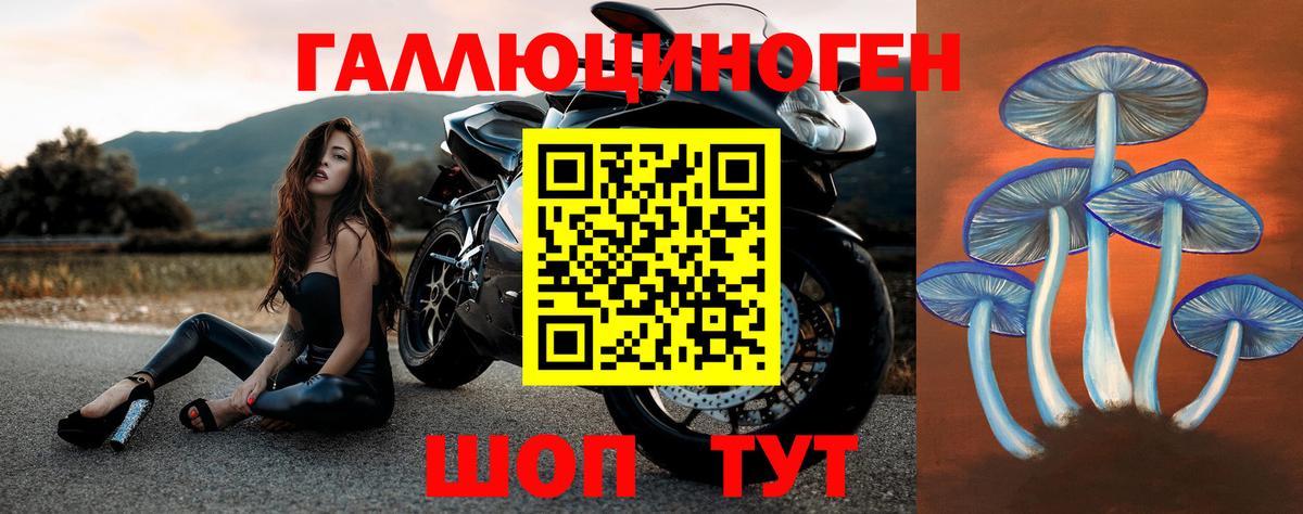 Псилоцибиновые грибы мицелий Свободный