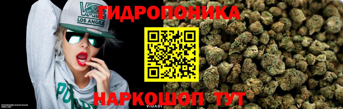 Марихуана Bruce Banner  Бошки марихуана SATIVA & INDICA  Вход с VPN  Свободный 